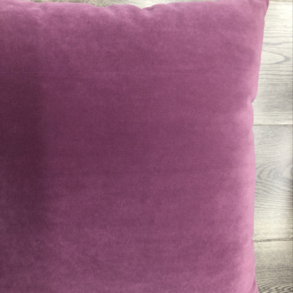 Mink velvet fashion home throw pillow details Picture