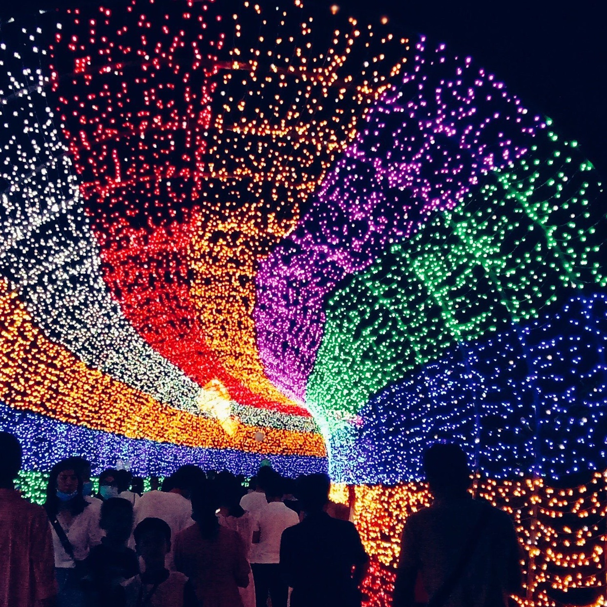 "Full Sky Stars Outdoor 100-meter 800 lights. details Picture