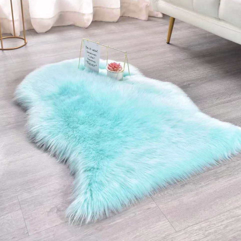 2023 New Factory Direct Sales 60*90 Anti-Wool Carpet