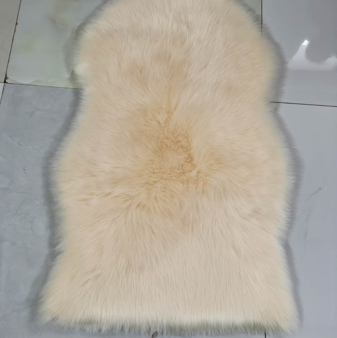 2023 New Factory Direct Sales 60*90 Anti-Wool Carpet Item Picture