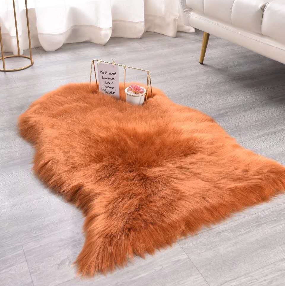 2023 New Factory Direct Sales 60*90 Anti-Wool Carpet Application Scenario
