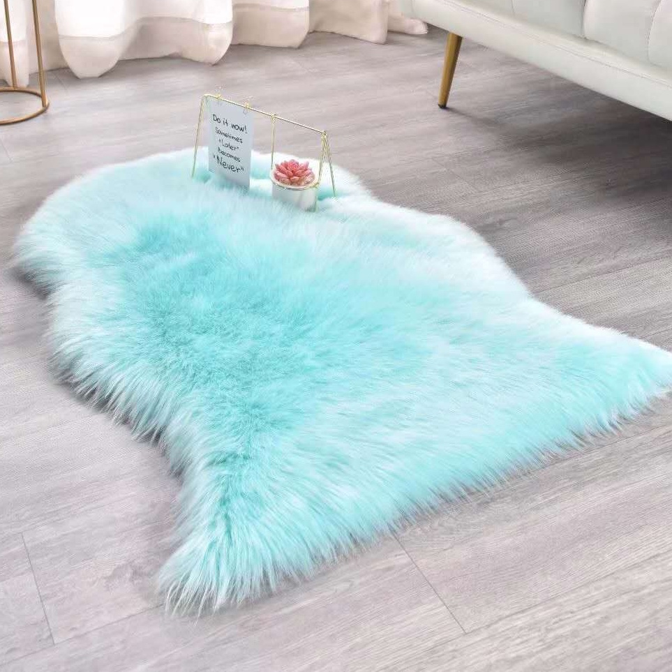 2023 New Factory Direct Sales 60*90 Anti-Wool Carpet details Picture