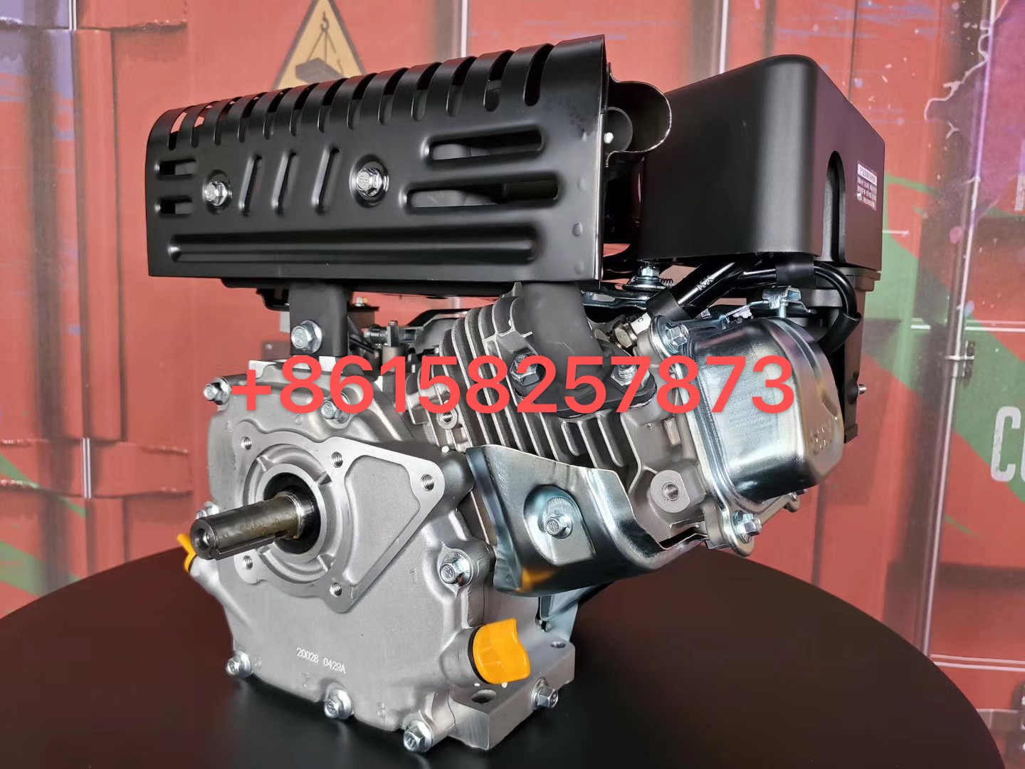 Authentic Longxin Gasoline Engine Power Needs Telephone Contact details Picture