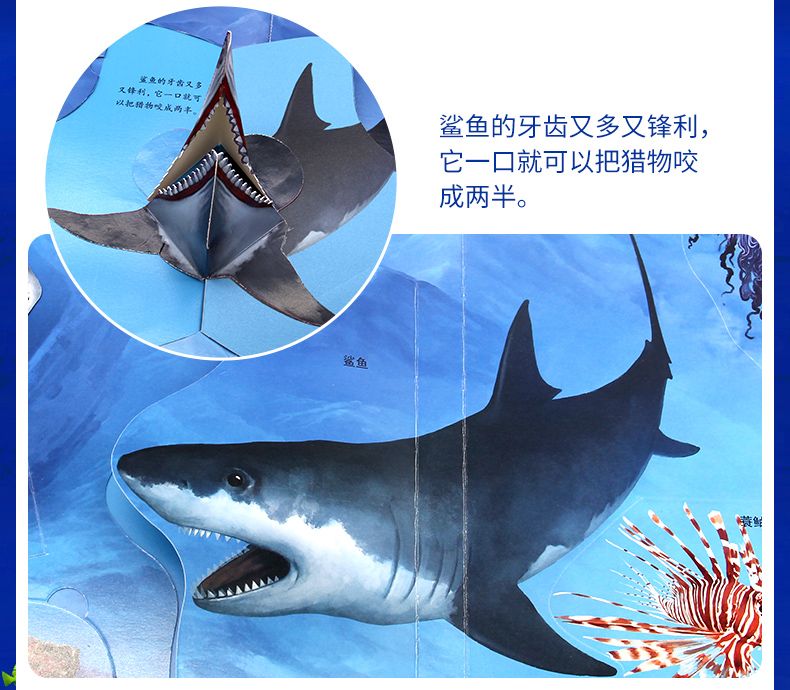 儿童趣味科普3D立体探秘海洋百科全书精装撕不烂小学生课外阅读详情图9