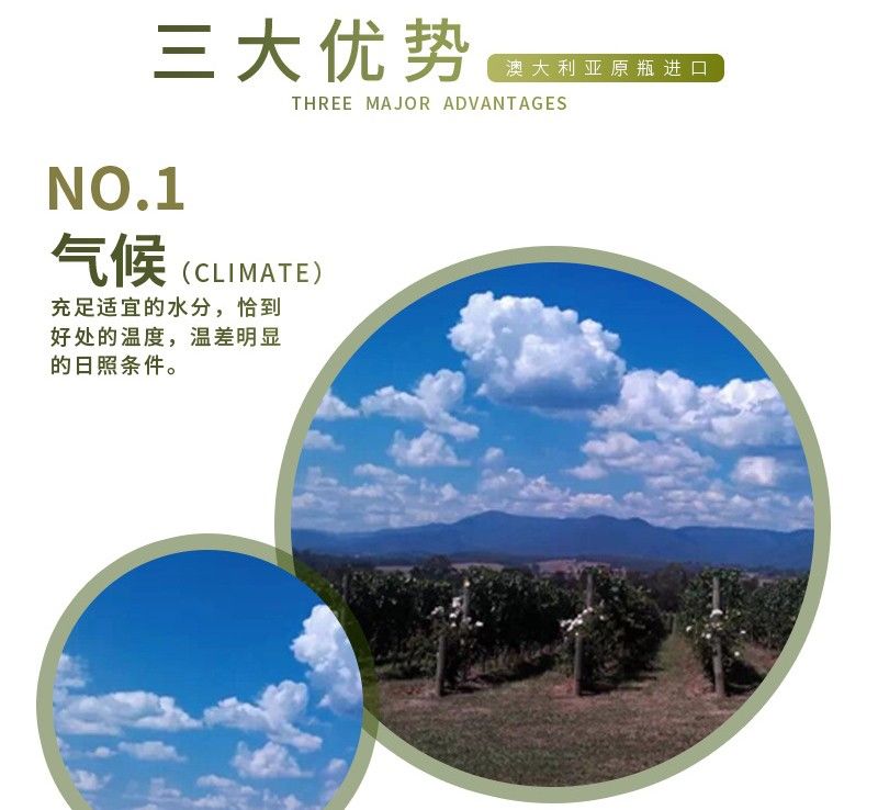 皇家慕依 赤霞珠干红葡萄酒（猎豹）187ml*24详情图4