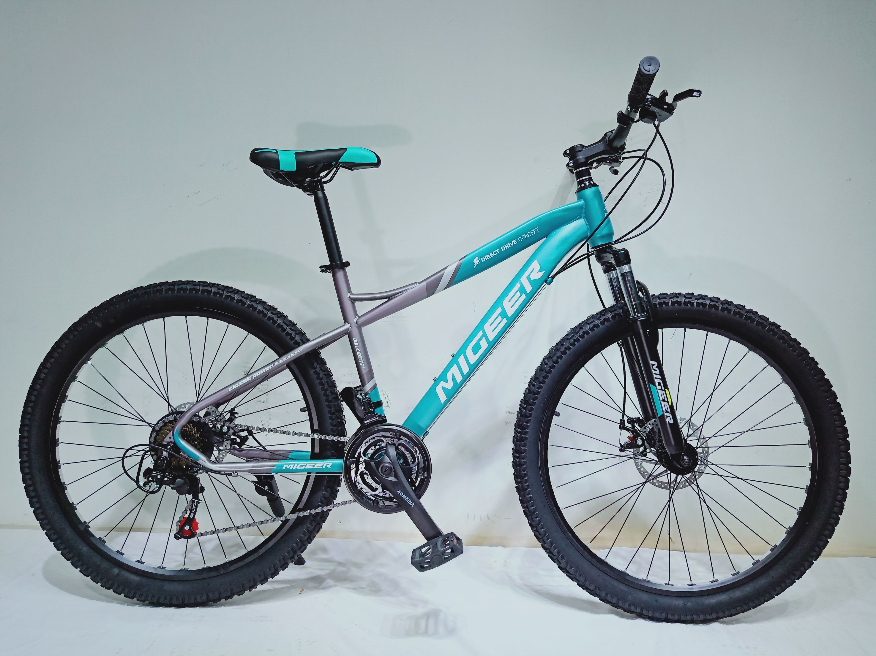 Mountain bike LM-550
