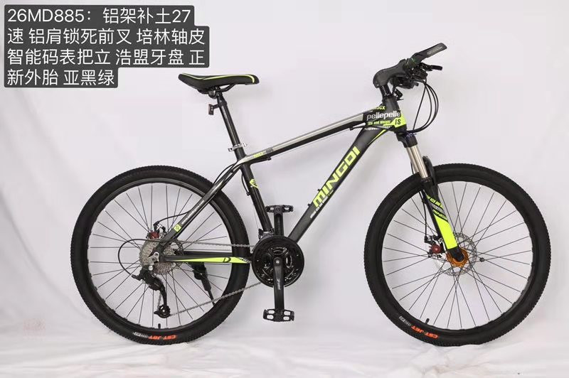 Mountain bike