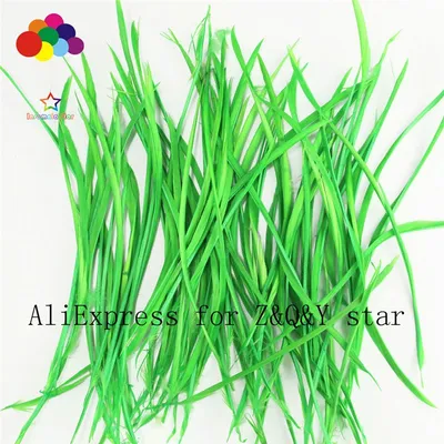 Fruit Green 10-15Cm Goose Monofilament Edge Dreamcatcher Diy Jewelry Accessories Hanging Materials