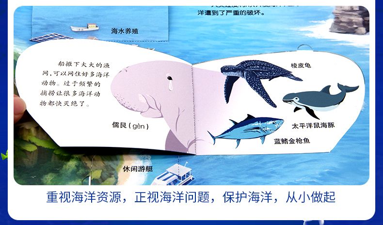 儿童趣味科普3D立体探秘海洋百科全书精装撕不烂小学生课外阅读详情图14