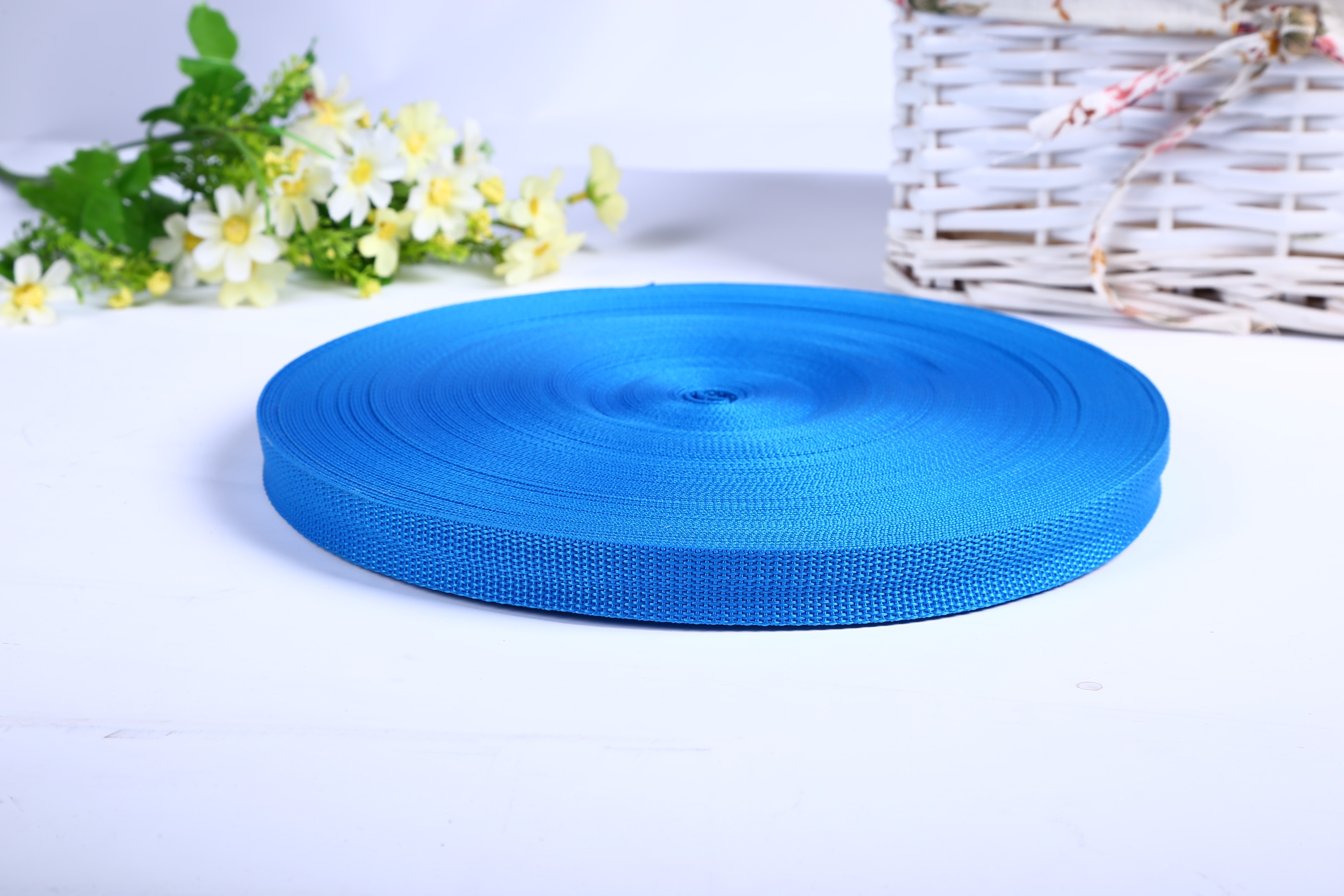 鼎辉织带 蓝色箱包包边带