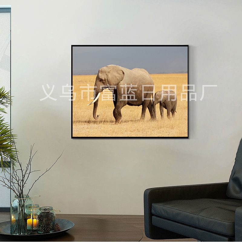 跨境货源满钻子母象钻石画方钻定制装饰画海外代发现货详情图1