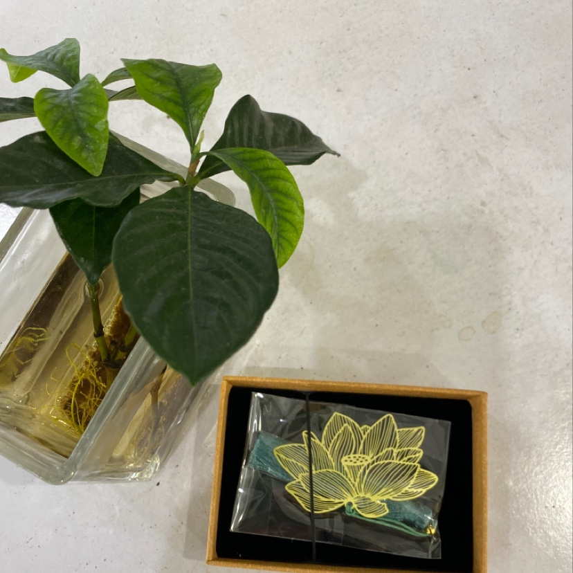 真铜荷花书签