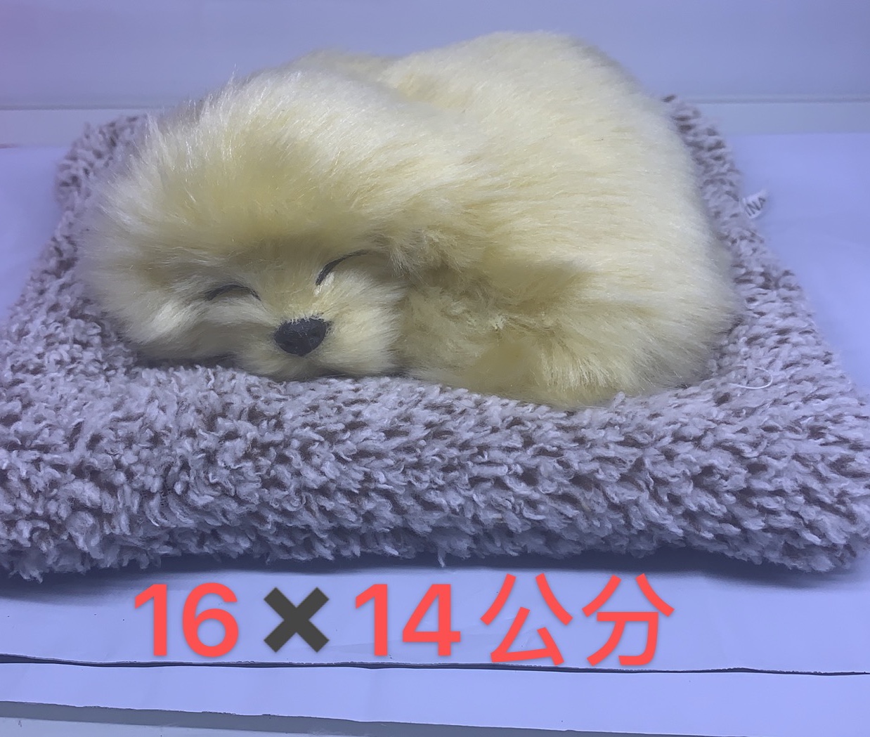 竹炭猫狗/动物标本/仿真宠物产品图