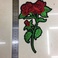 22cm双朵玫瑰图