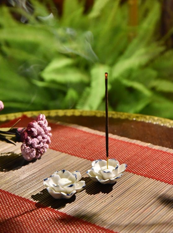 The white lotus flowers are fragrant