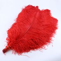 65-70cm鸵鸟毛花瓶摆件拍摄道具舞台装扮婚庆现场羽毛网红墙背景