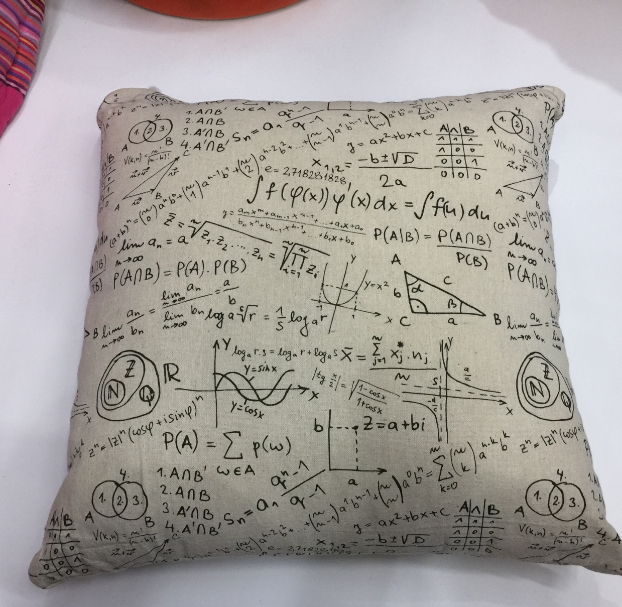 New Explosive Manufacturers Direct Sales European Printed Cloth Pillow Case Plus Core Home Bedroom Bed Sofa Bay Window Cushion Car Pillow
