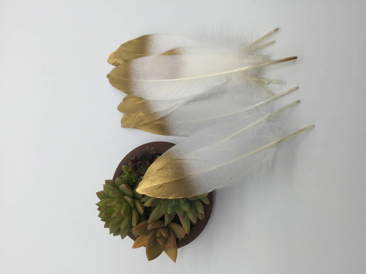 鹅毛硬飘喷金15/20CM