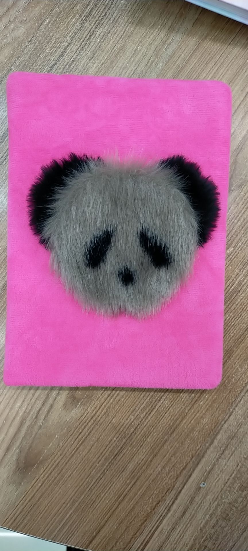 diary notebook sprilbook
