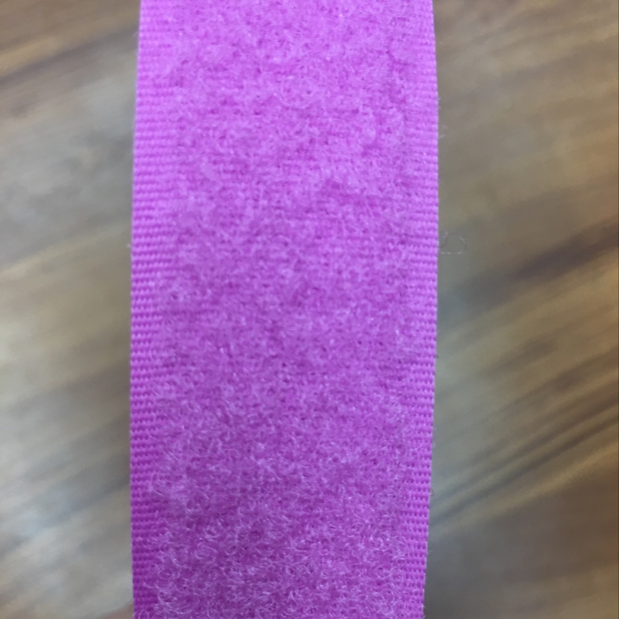 2.5cm紫莲粘扣带，子母贴产品图