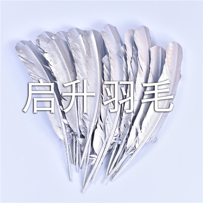 喷金喷银驼背35/40产品图