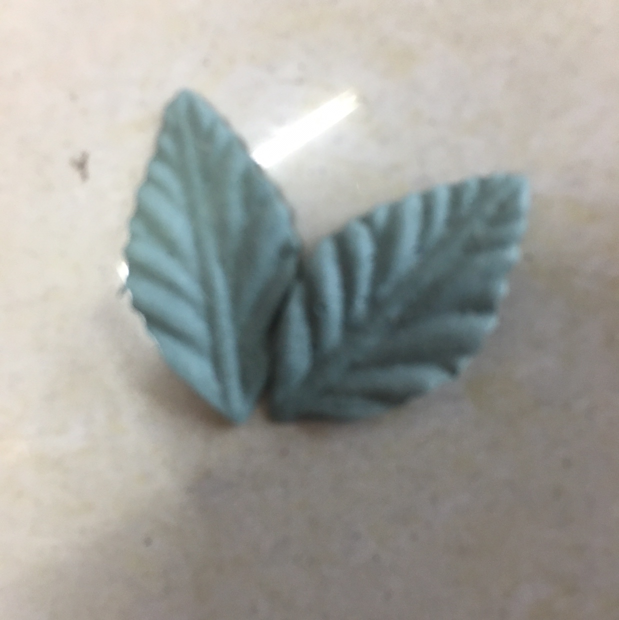 叶片