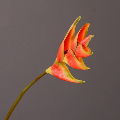 Yiwu Selection living room decorative flower arrangement main flower imitation paradise crane burnt wholesale orange tropical flowers details Picture
