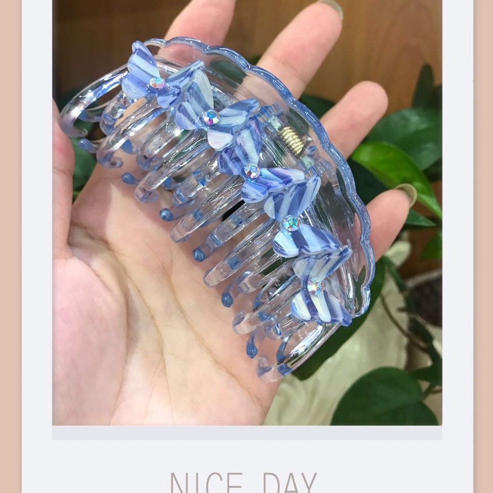 珠光蝴蝶🦋