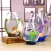 Factory direct sales of modern and simple dinosaur egg hydroponic glass vases, fish tanks, special flower vases for Guanyin bamboo, countertops, dining tables, and bathroom creative flower arrangement decorative items details Picture