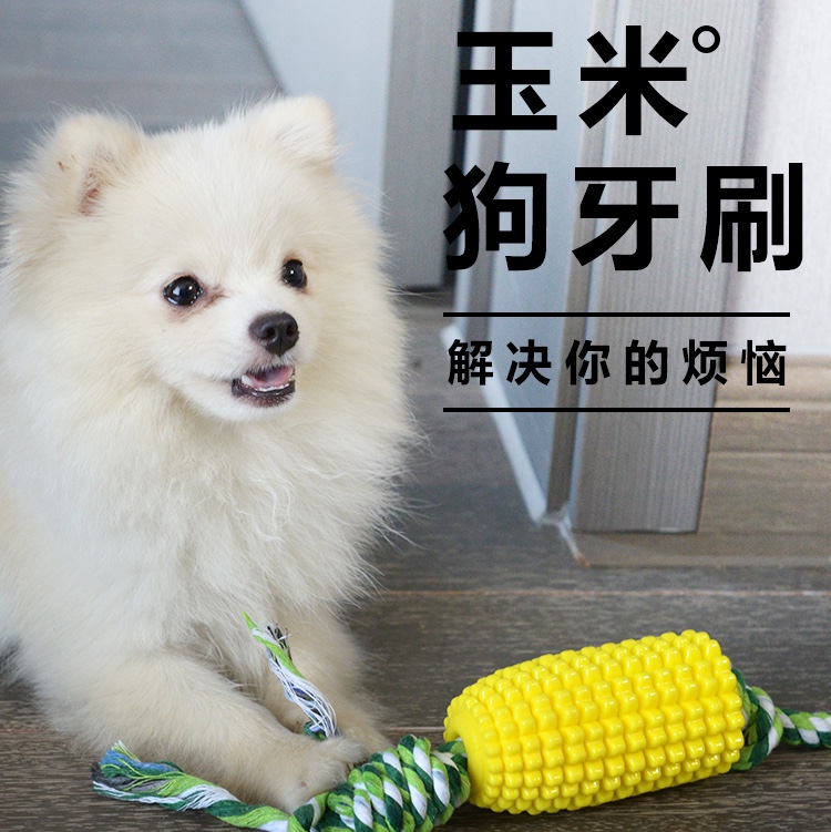 宠物用品狗狗玩具玉米磨牙棒耐磨耐咬狗牙刷漏食器带绳结泰迪金毛白底实物图