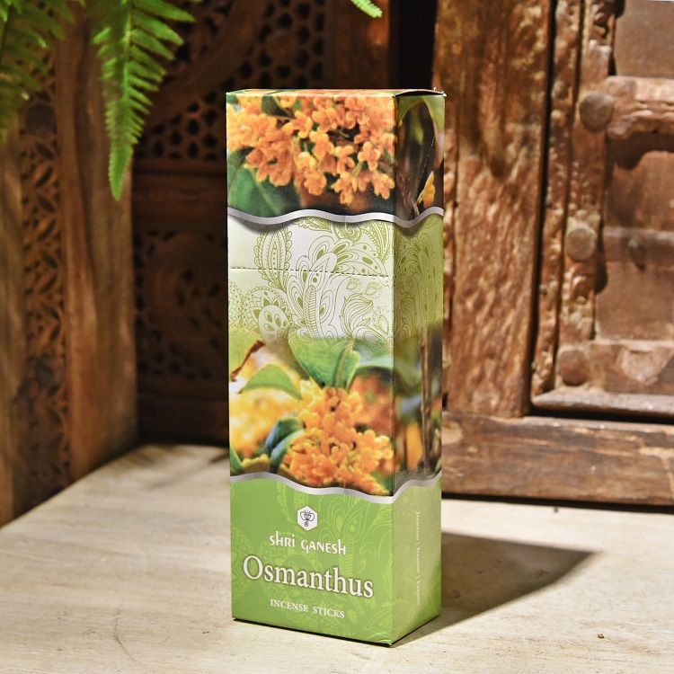 大盒ShriGanesh印度进口六棱形盒线香室内持久熏香 一大盒含6小盒白底实物图