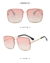Sunglasses Item Picture