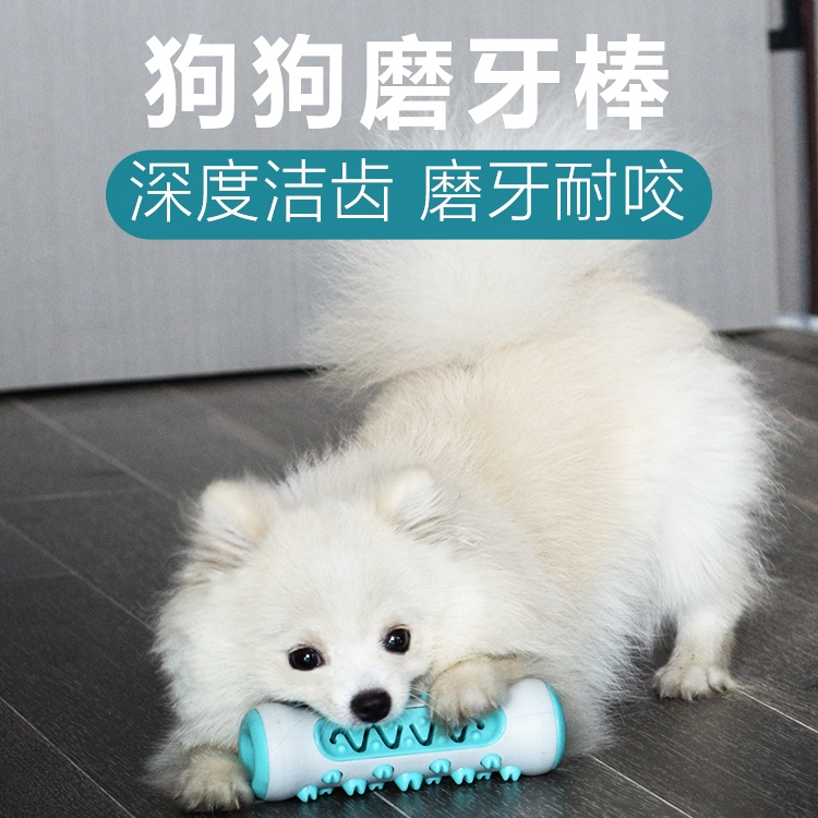 狗狗玩具磨牙棒耐啃咬洁齿骨宠物用品小型中型犬大型狗牙刷除口臭