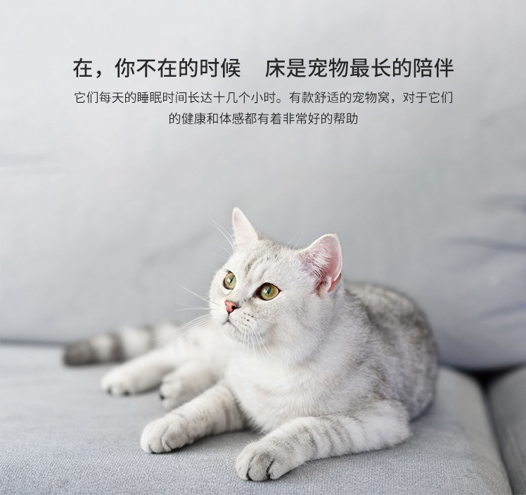 网红狗窝猫窝四季通用宠物垫子可拆洗狗狗用品防潮护脊椎慢回弹222详情5