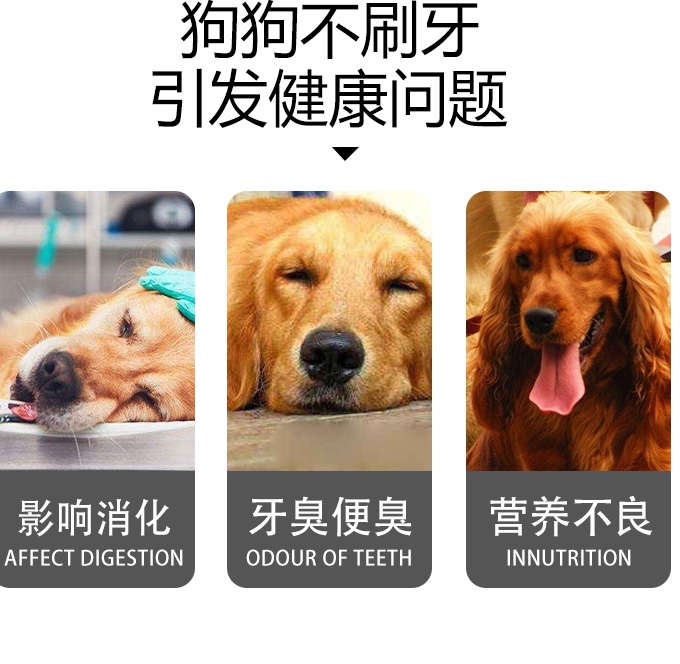 宠物用品狗狗玩具玉米磨牙棒耐磨耐咬狗牙刷漏食器带绳结泰迪金毛详情图6