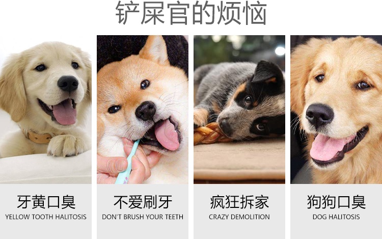 Dog toys, teething sticks, chewable teeth cleaning bones, pet supplies, small and medium-sized dog toothbrushes, large dog toothbrushes for eliminating bad breath details Picture