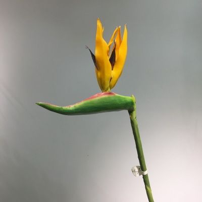 Yiwu Selection hot sale of imitation tropical fake flowers wholesale whole floral lobby flower table flower simulation bird of paradise full figure