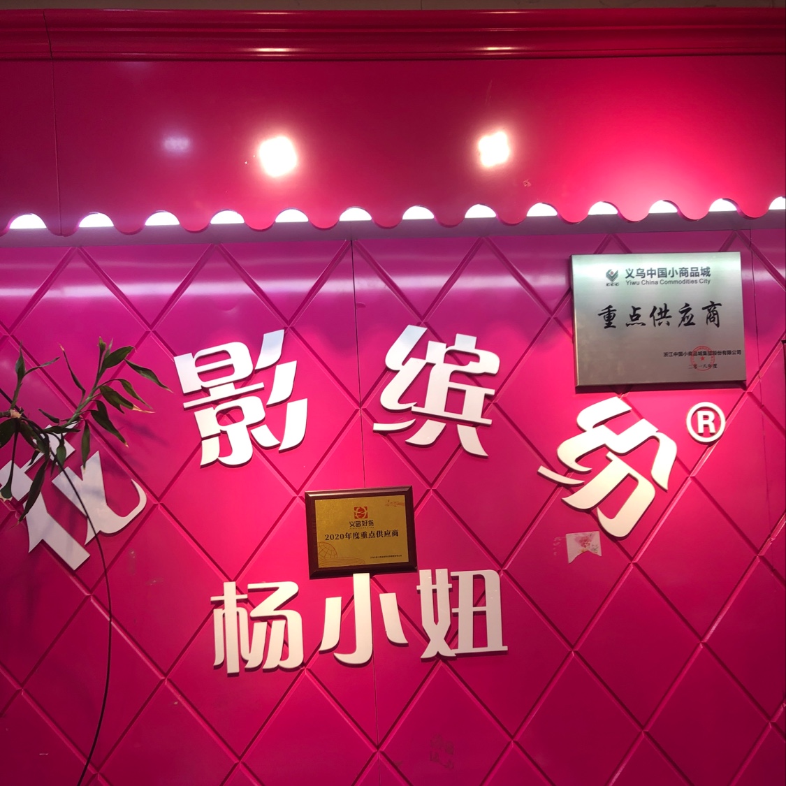 The flowers are in a riot of colors. describe pic - 5