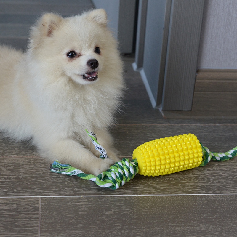 狗狗玩具实物图