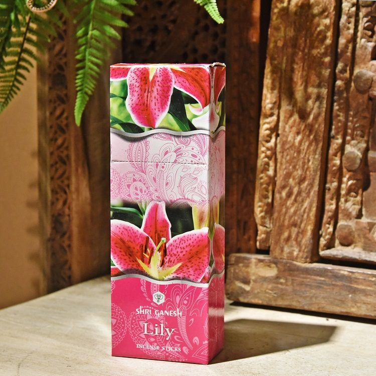 大盒ShriGanesh印度进口六棱形盒线香室内持久熏香 一大盒含6小盒