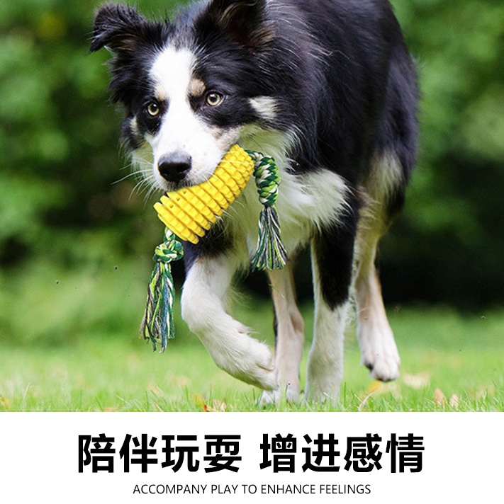 宠物用品狗狗玩具玉米磨牙棒耐磨耐咬狗牙刷漏食器带绳结泰迪金毛详情图9