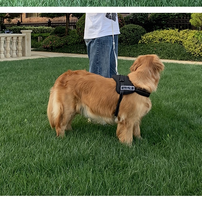 The pet dog leash with a chest and back strap is explosion-proof and does not clot the neck. It is suitable for medium and large-sized golden Retrievers and Labradors to prevent loss undefined