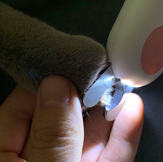 猫咪指甲剪磨甲器狗狗指甲剪宠物指甲钳灯光防血位修指甲用品详情图8