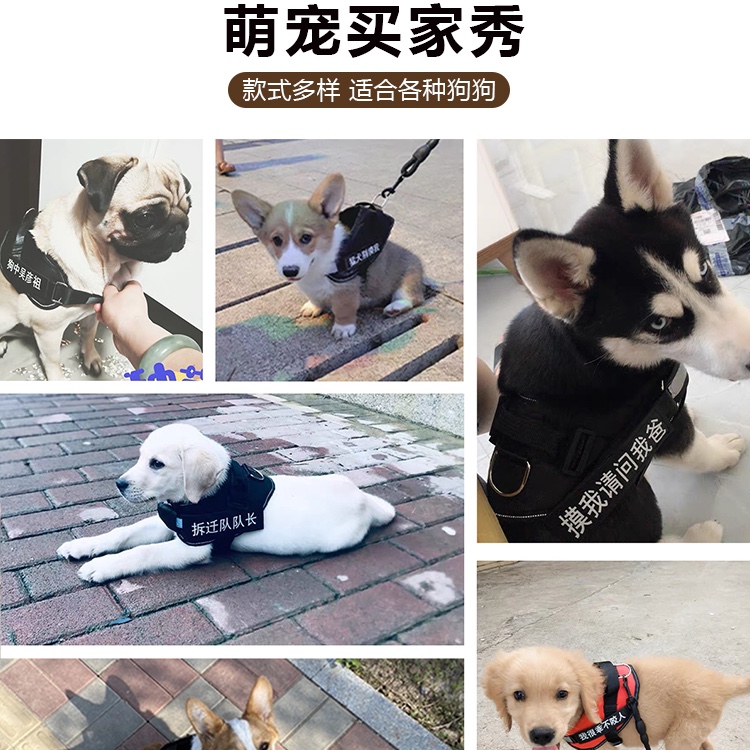 胸背带式狗狗牵引绳遛狗防爆冲可调节大型中型犬金毛泰迪反光狗链详情图7