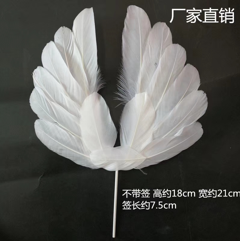 小翅膀