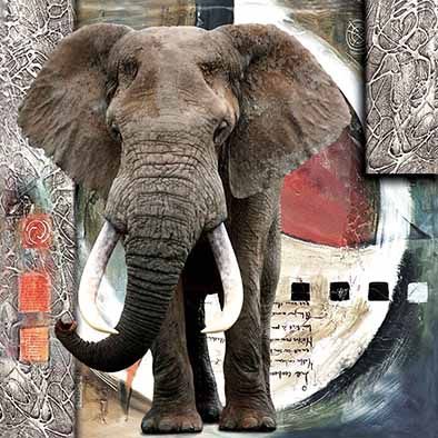 Factory Direct Hd 3D Painting 5D 3D Painting Pet Sticker 40X40cm