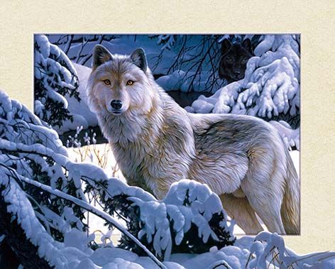 厂家直销高清5D贴纸画 PET 三维立体画 40X50cm图