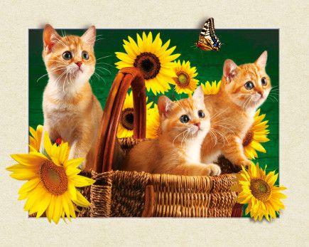 园艺铁桶/手工幼儿/跨境面包盒/菩提根/铁皮桶产品图