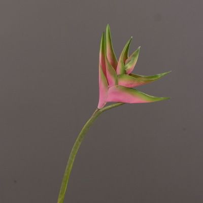 Yiwu Selection paradise plantain imitation flower artificial flower decoration wholesale green plant interior decoration flower main flower details Picture