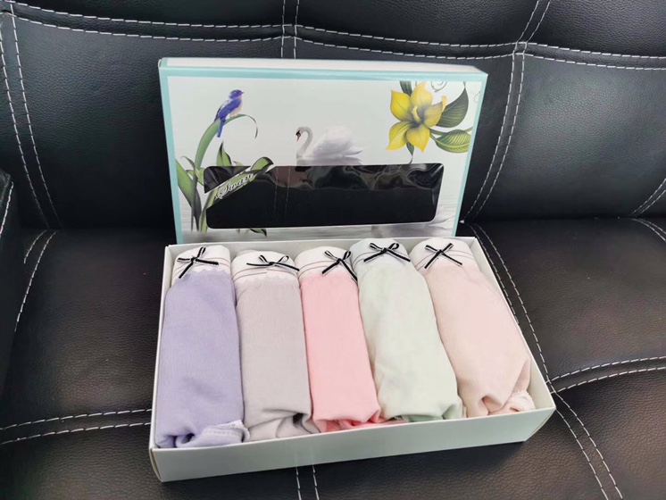 Ladies underwear